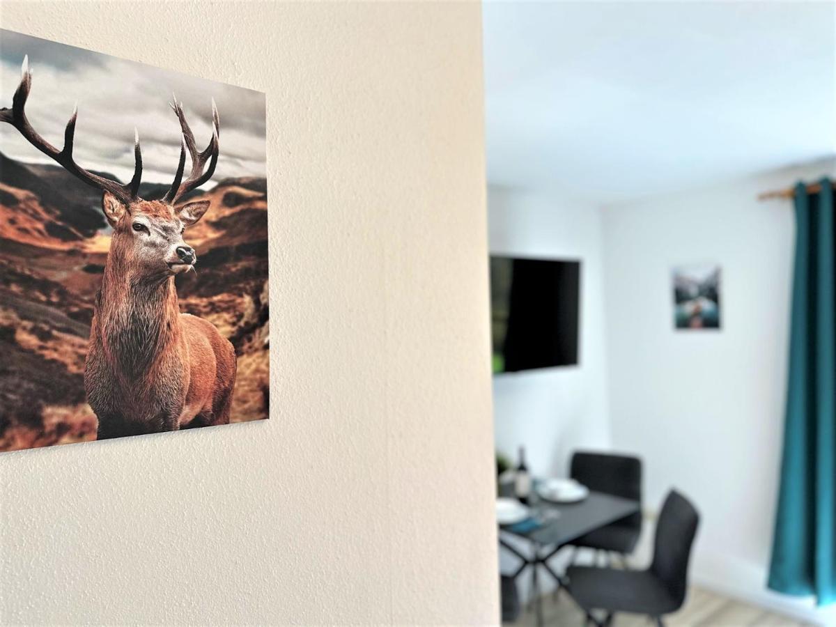 Cozy Apartment In Bavarian Forest +Pool +Sauna +Netflix Zwiesel Zewnętrze zdjęcie