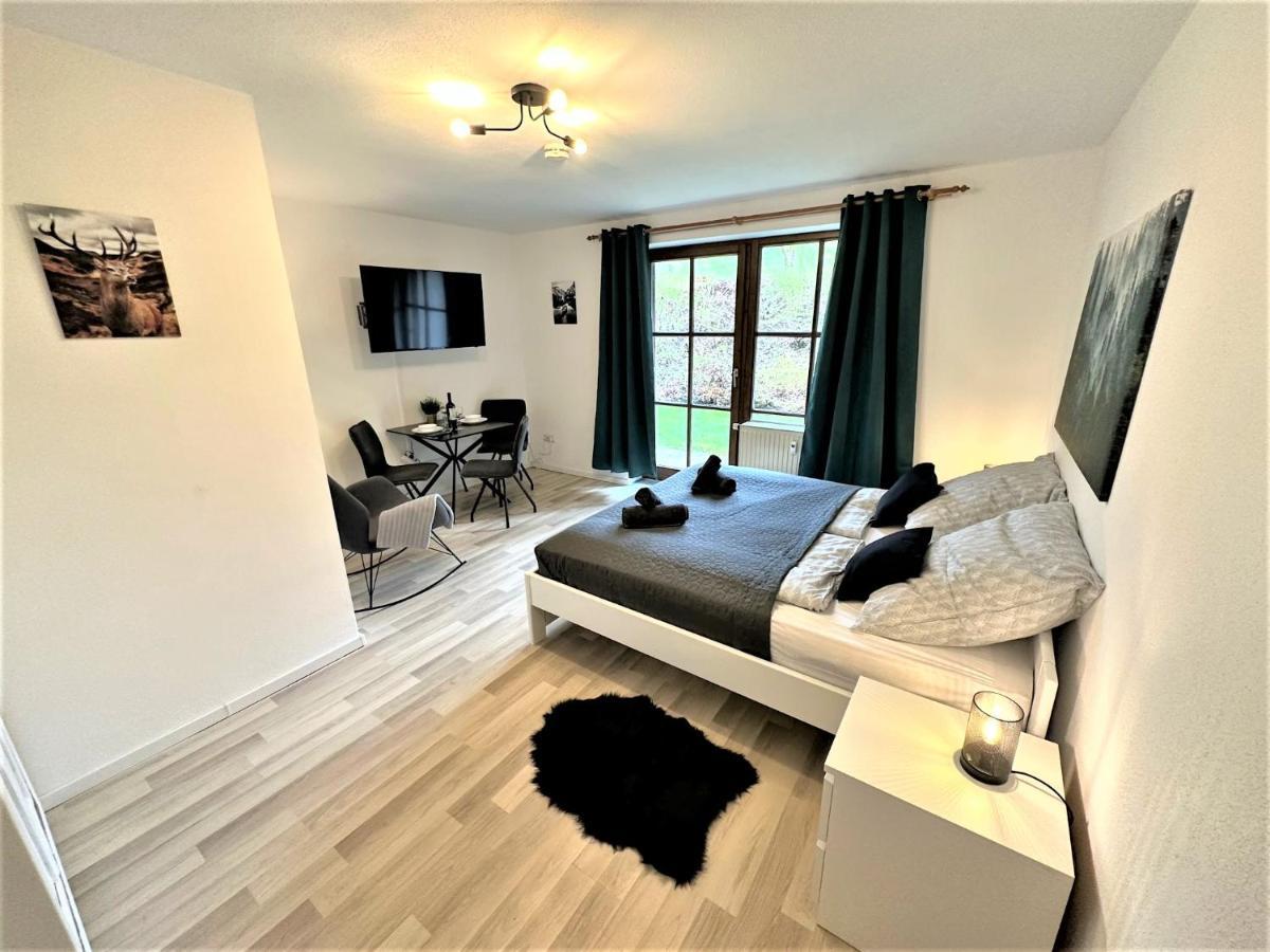 Cozy Apartment In Bavarian Forest +Pool +Sauna +Netflix Zwiesel Zewnętrze zdjęcie